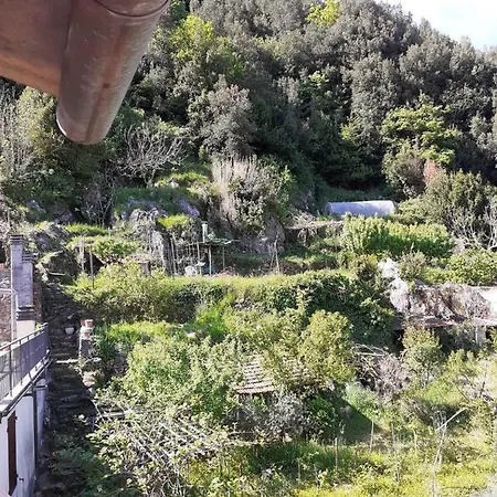 La Casa Torre *